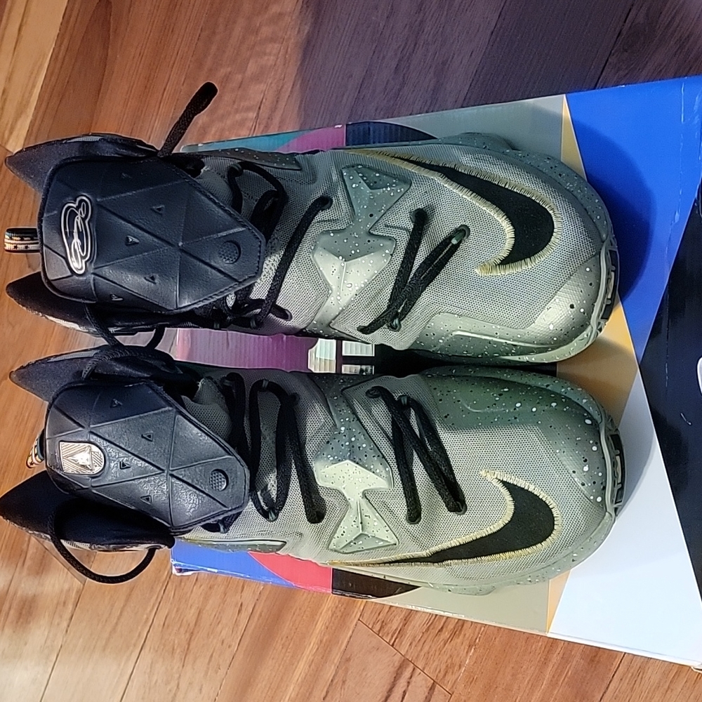 Nike LeBron x111 as